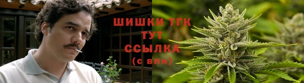 PSILOCYBIN Алзамай