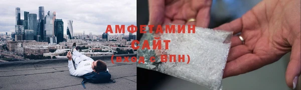 PSILOCYBIN Алзамай