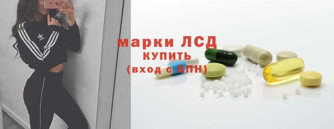 PSILOCYBIN Алзамай