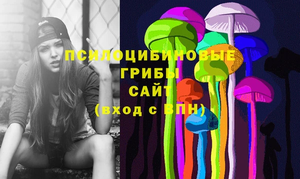PSILOCYBIN Алзамай