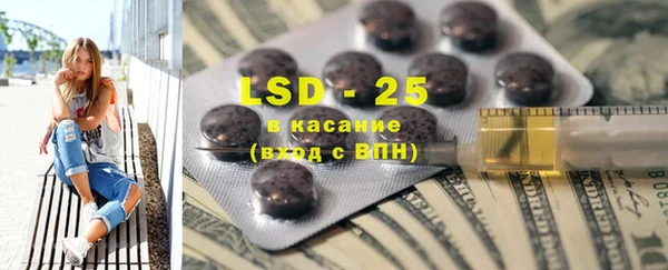 PSILOCYBIN Алзамай