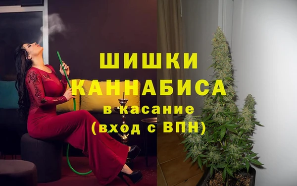 PSILOCYBIN Алзамай