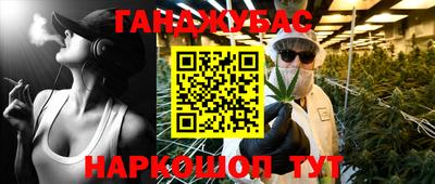 прущие крисы Бийск
