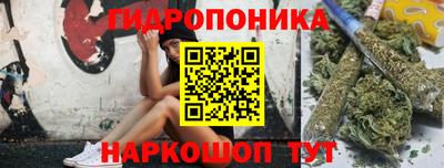 спиды Берёзовский