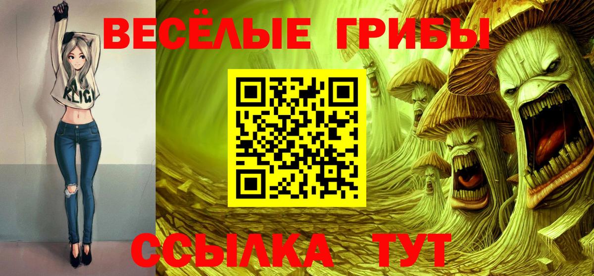 Псилоцибиновые грибы Cubensis  Псилоцибиновые грибы MAGIC MUSHROOMS  Беслан  Вход с VPN 