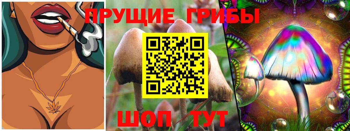 Галлюциногенные грибы MAGIC MUSHROOMS Беслан